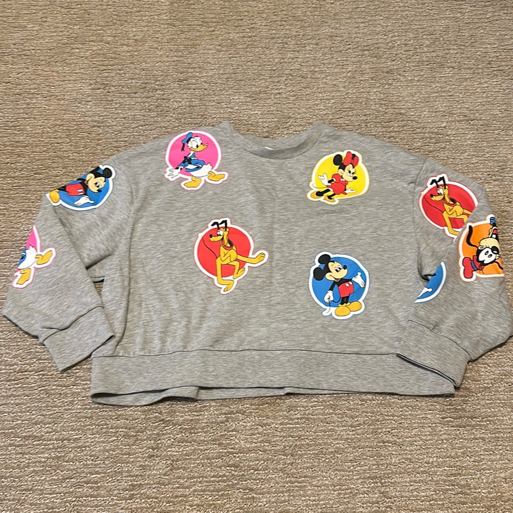 EUC Disney Friends Vault collection cropped sweatshirt